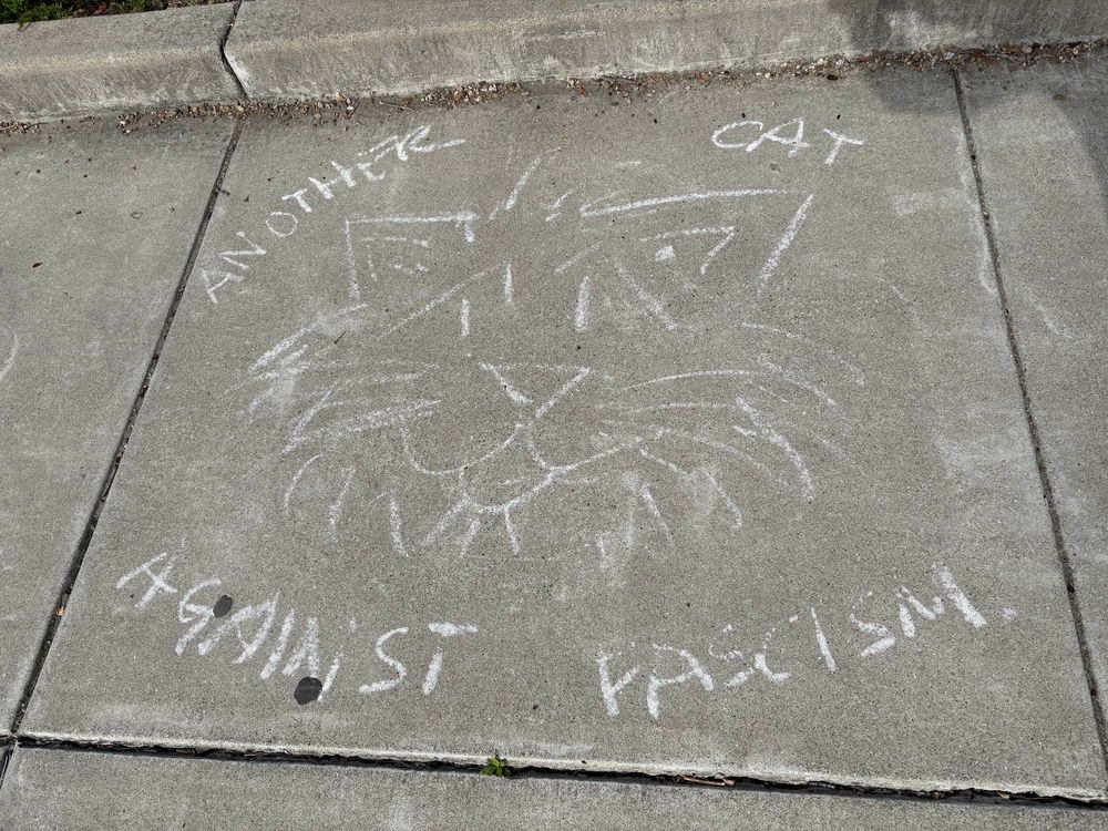 A chalk drawing of a cat face on a sidewalk surrounded by the words “another cat against fascism”