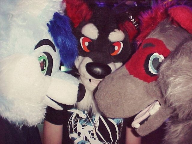 Three furries with bright eyes, one white, one black and red, and one gray and red"