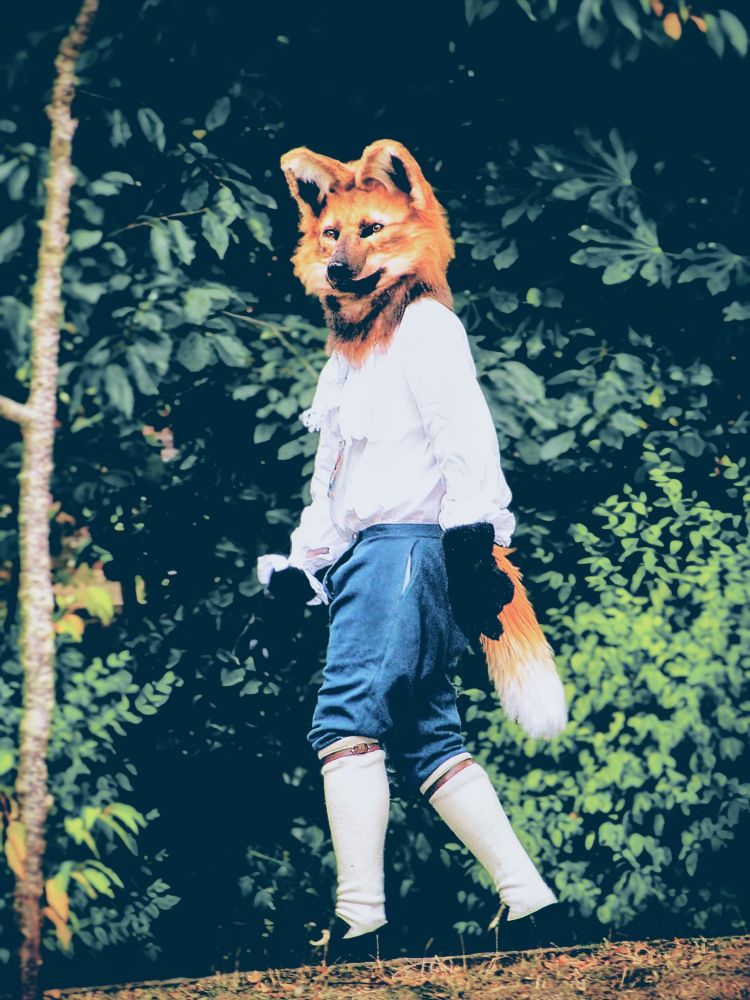 A dapper maned wolf spotted in Sheffield parks