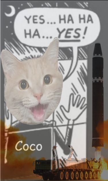 yes ha ha ha yes! but it's my cat Coco and there's a north korean missile launch