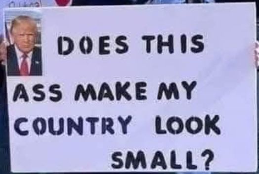 Sign showing photo of Trump with text: Does this ass make my country look small?