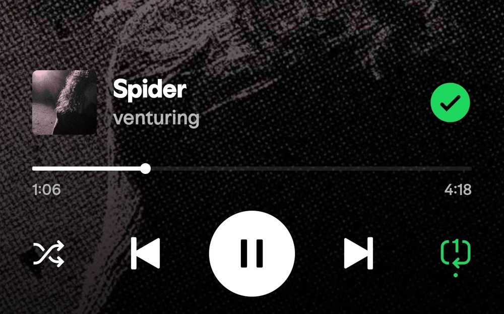 venturing - Spider