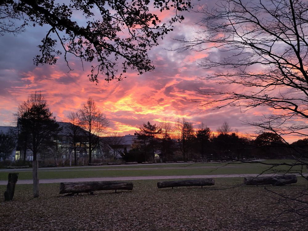 A flaming sunset above a small public park. In the background are some large industrial-looking buildings. 