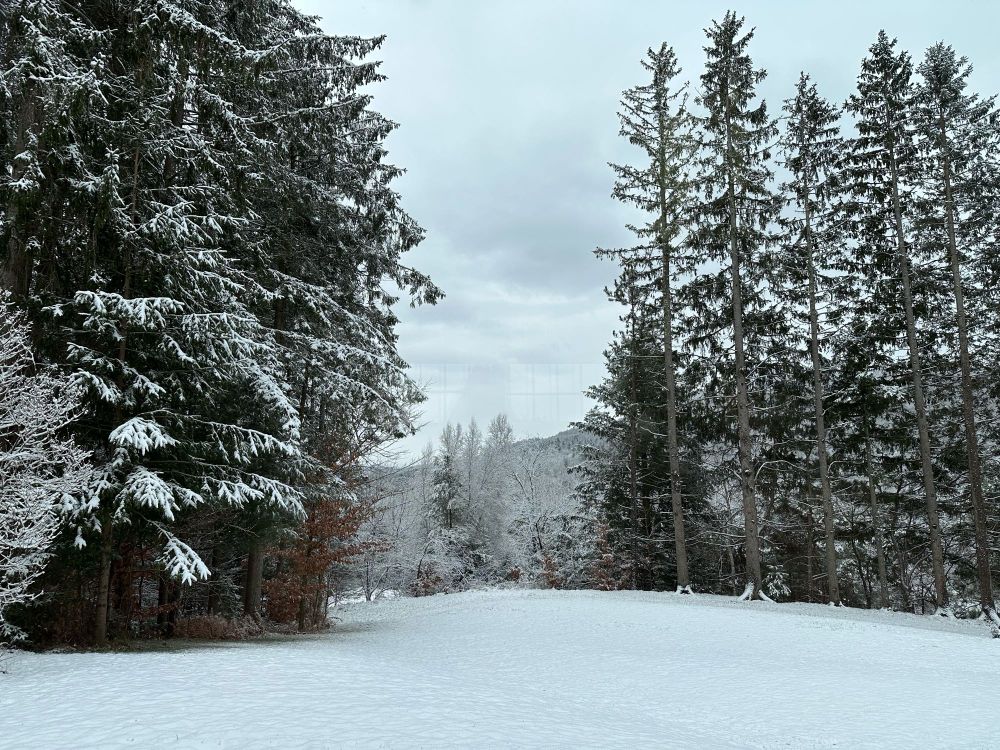 A snowy, overcast day in the mountains