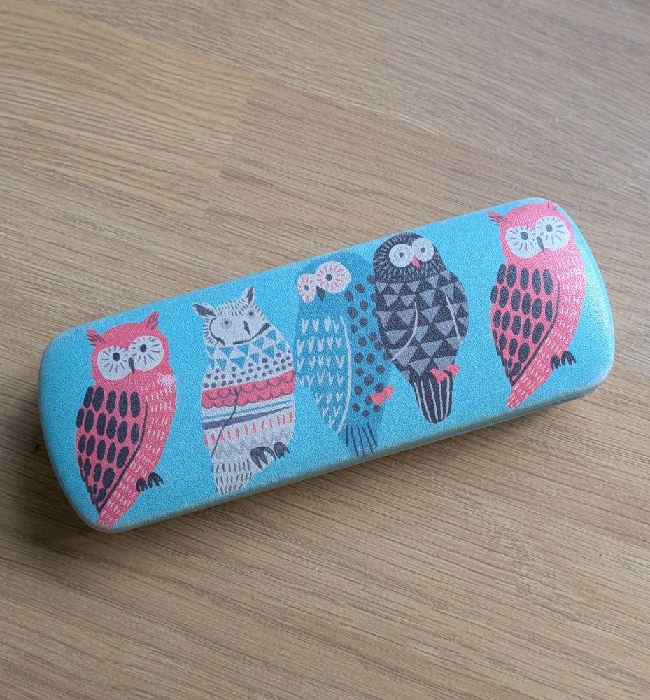 A blue spectacles case decorated with five cats in shades of blue and pink with feathers, pointy ears and very large eyes. OK yes they might be owls. They are owls. Not cats.