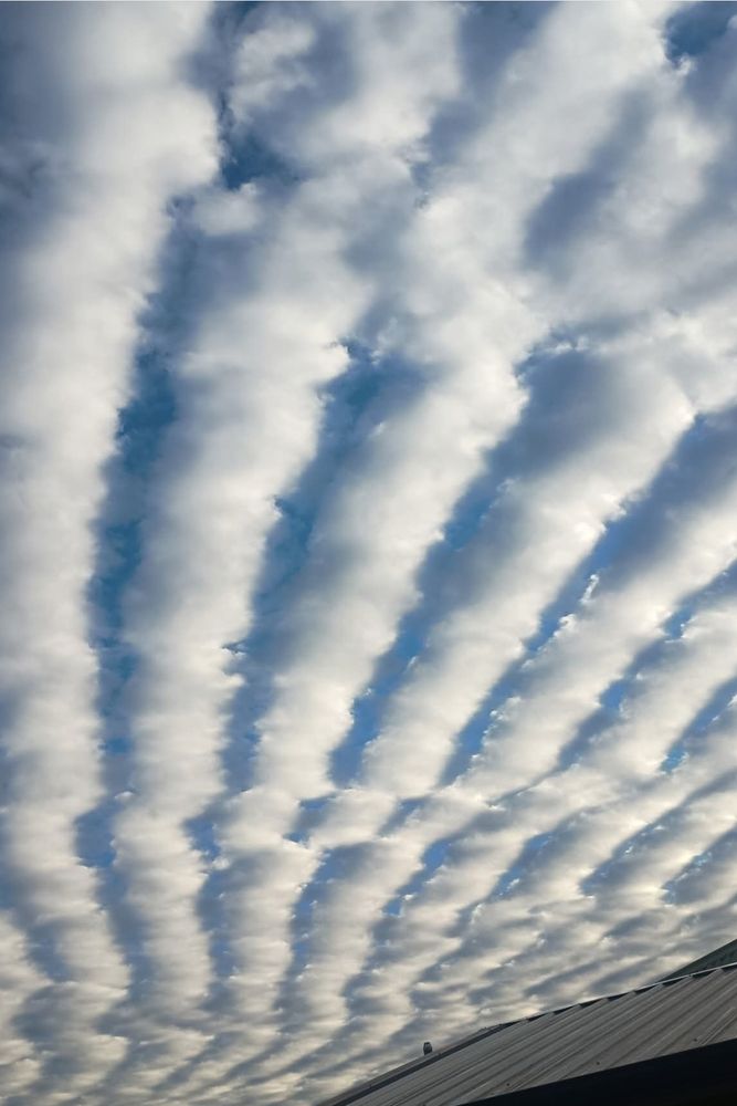 Altocumulus clouds 