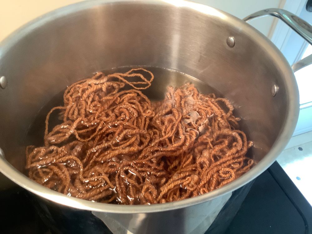 A pot of caramel coloured home spun wool yarn, in a big pot of chestnut brown dye bath.  Turning it from caramel to chestnut brown. Trying to mach my previous variegated spin. 