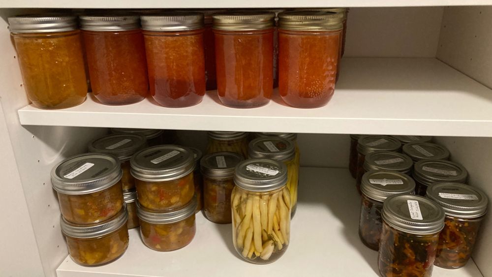 Cupboard with home canning. Top row: Apricot Jam, 2 batches Nectarine Jam (one with floating fruit, unfortunately).  Bottom row: 2 batches Mango Chutney, Dilled Yellow Beans, and 2 batches Sweet Jalapeño Relish. 