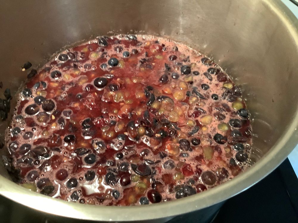 Pot of grapes simmering to release juice for grape jelly. 