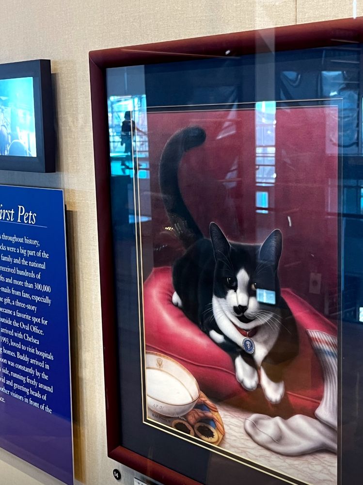 Photo with reflection of a painting of Socks, the family cat of The Clintons, in a display of family pets at The Bill Clinton Library & Museum in Little Rock, Arkansas.