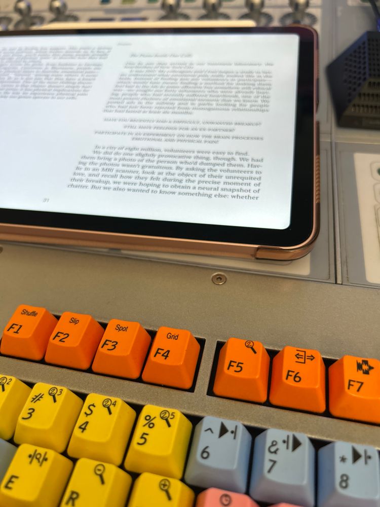 Reading a book on an iPad for a chill weekend.