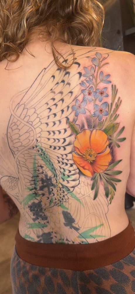 Woman’s back with partially complete back tattoo of a red tailed hawk and poppy and forget me not, only the flowers are filled in with colo