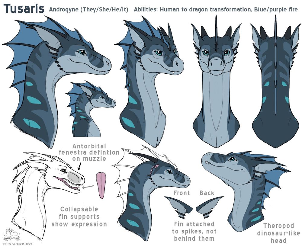 Tusaris the dragon, headshot reference sheet by andraconix