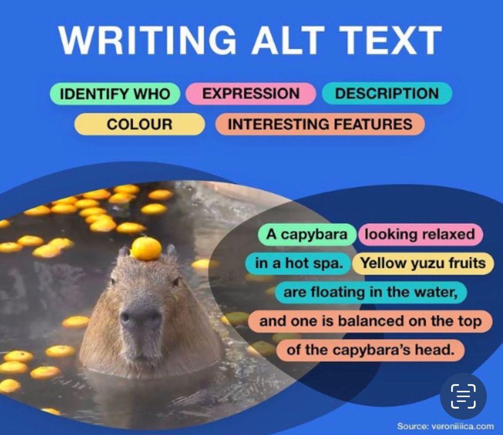A tutorial on how to write alt-text, with the famous "capybara with yellow fruits" as an example 
