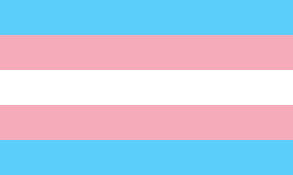 Transgender pride flag. Light blue, pink, white, pink, and light blue bars. 