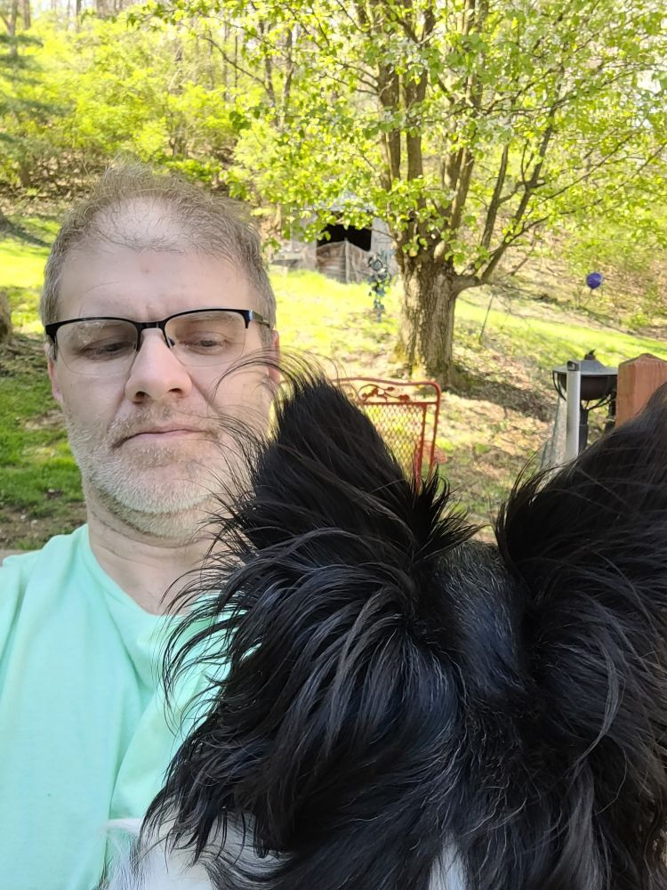 Men with glasses and a light green shirt looking towards camera. Black dog looking away from camera You can see the back of the dog's head and his ear is sticking straight up The dog is looking towards a backyard and up into the woods bordering the edge of the backyard. The scene is verdant and slightly cluttered dog is very obviously focused on something in the distance.