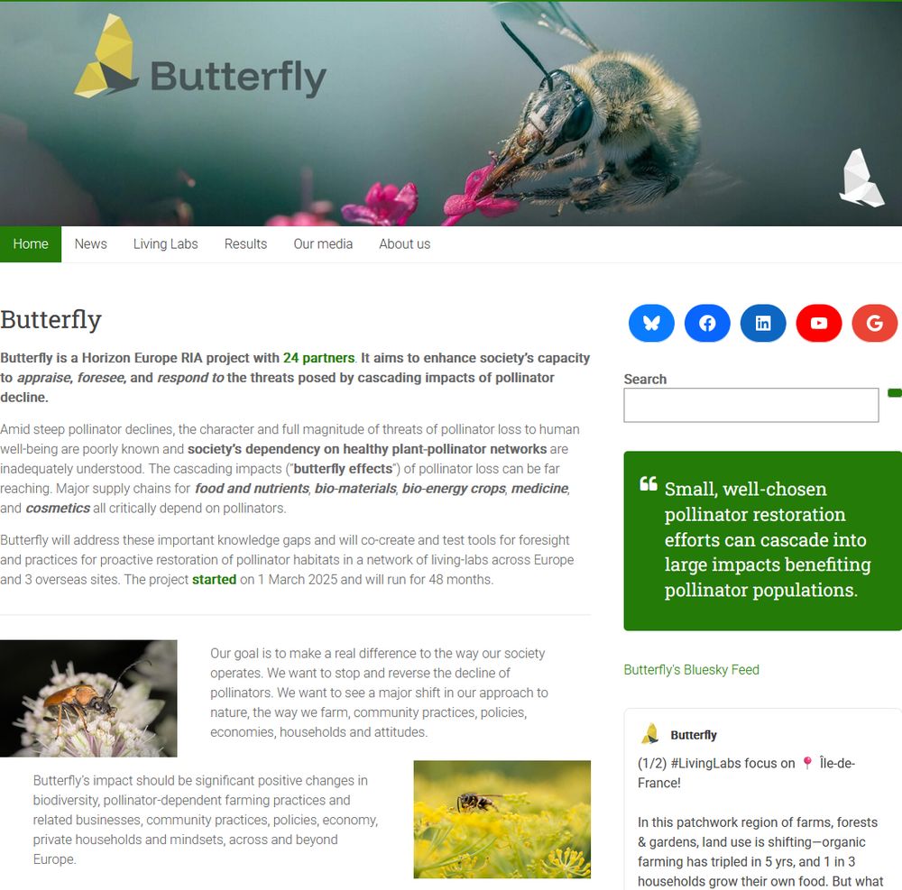 Screenshot of Butterfly's website