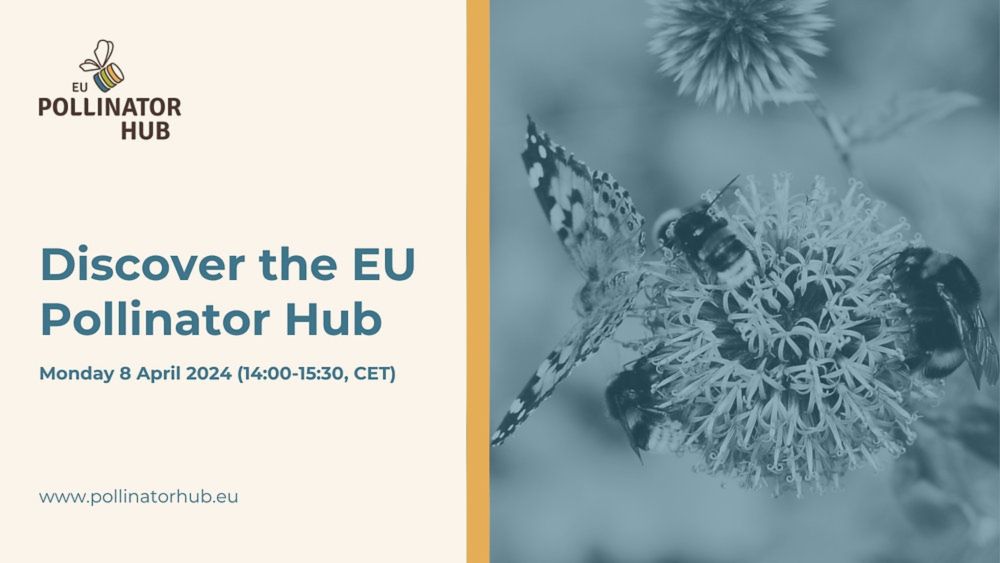 Discover the EU Pollinator Hub - Launch Event April 8 2024