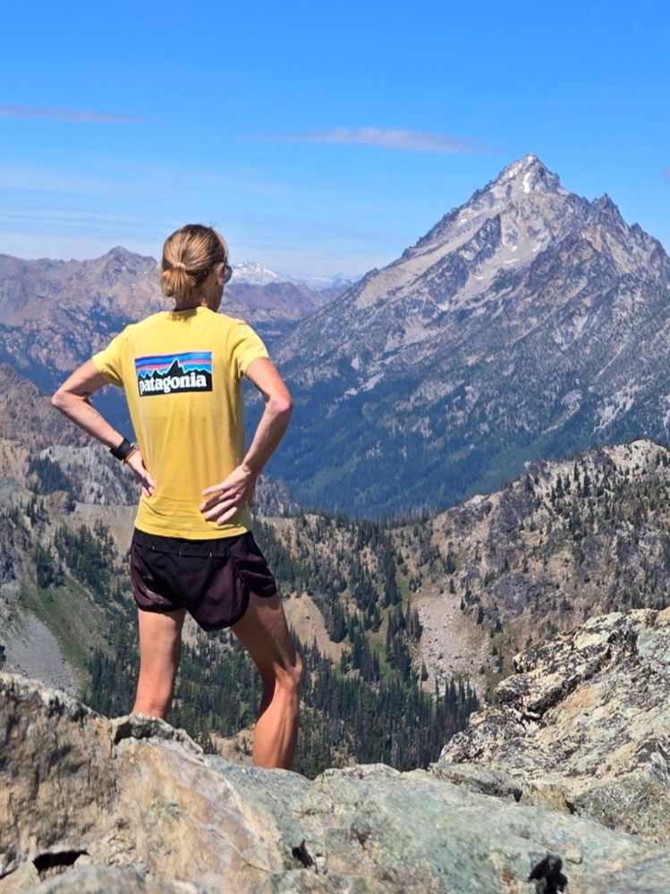 Myself in a yellow Patagonia T-shirt standing atop Navaho Peak in the Washington Cascades. I am facing Mount Stuart, which is 2,000+ vertical feet higher, and which I have stood on top of before. Navaho Peak is 7,223 ft above sea level and climbs 4,250 ft. from the trailhead to the summit. 