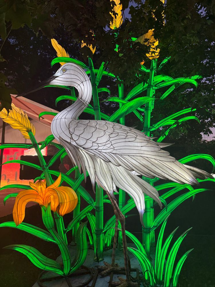 An illuminated crane at the Chinese Lantern Festival