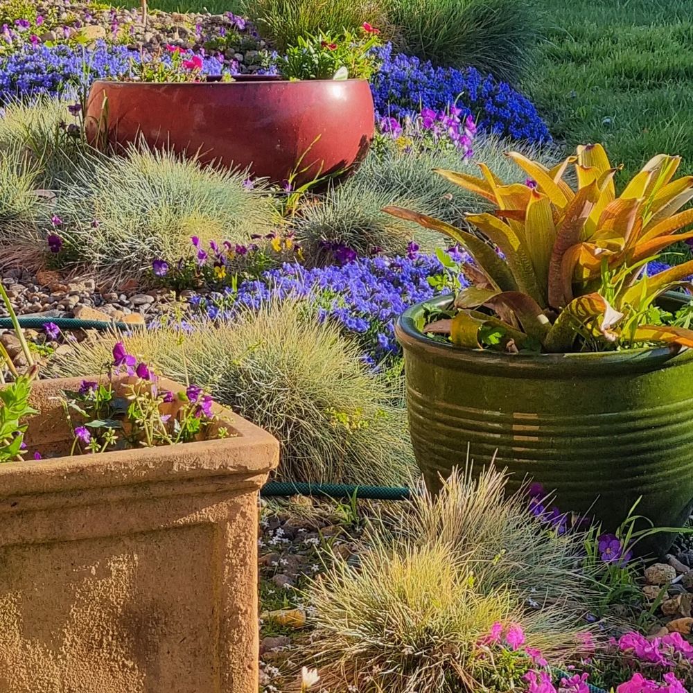 Old rockery transformation