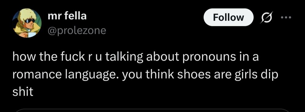 Tweet from mr fella @prolezone:

how the fuck r u talking about pronouns in a romance language. you think shoes are girls dip shit