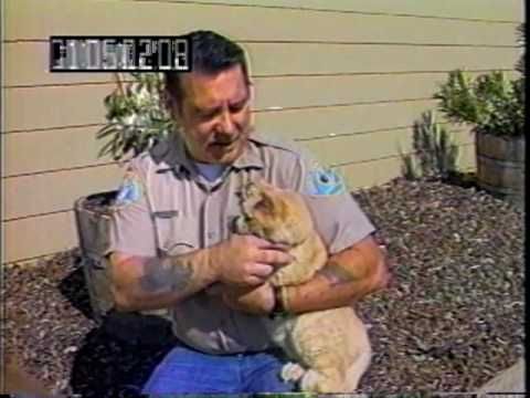 Pinky The Cat.mp4