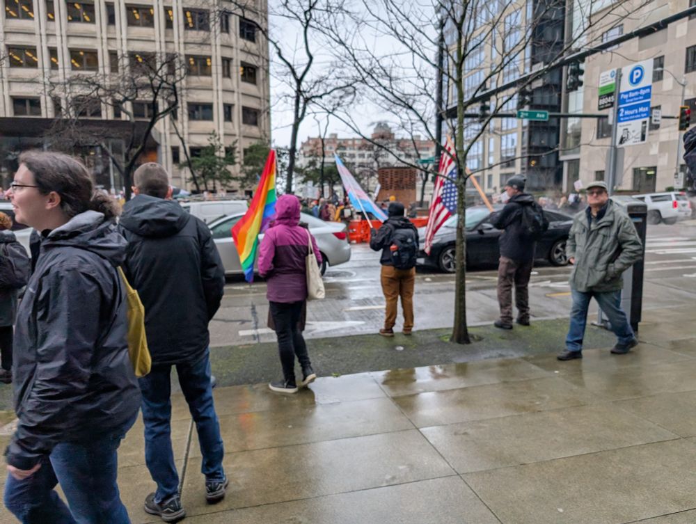 Rainbow, trans and US flags being waved at protest.