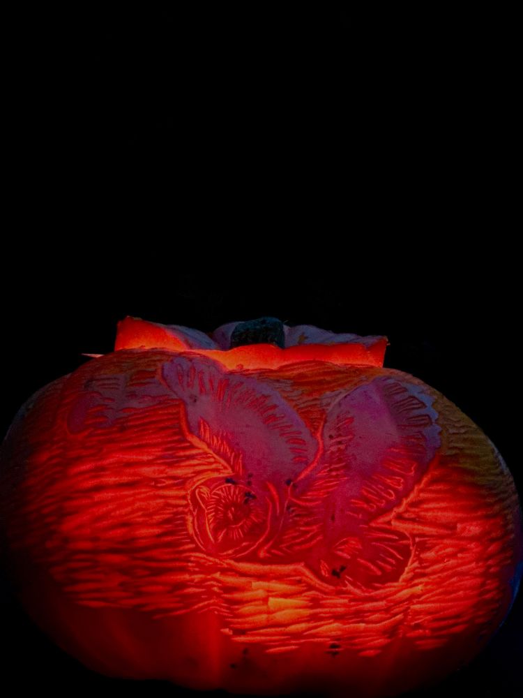 A pumpkin carved with an image of a barn owl in flight.