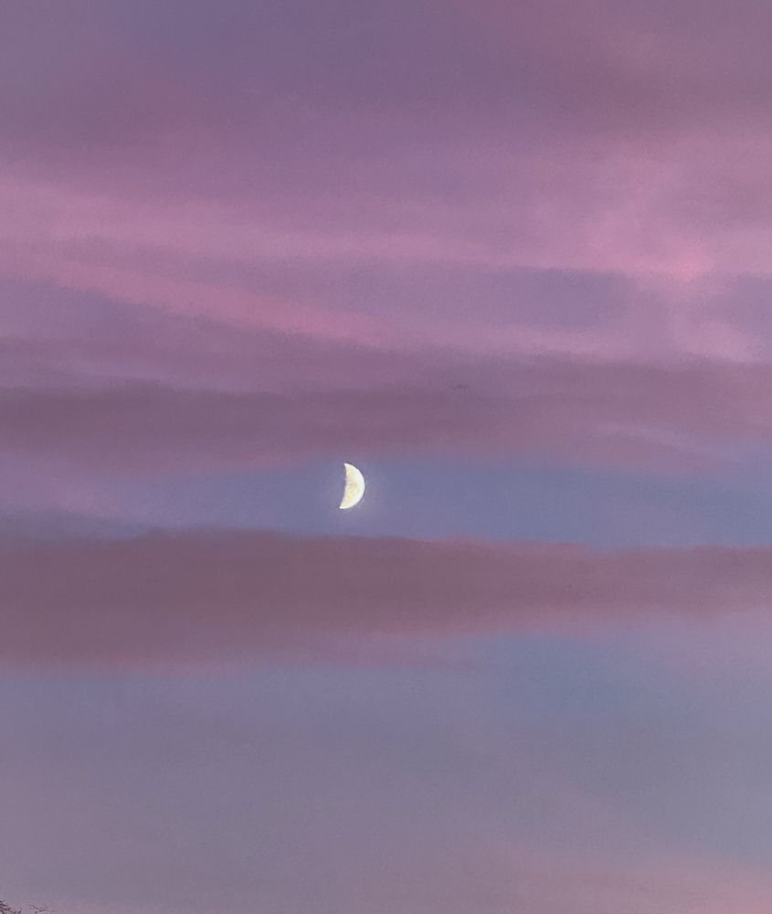 Crescent moon rising at sunset. The sky in layers of pink, ethereal and otherworldly.
