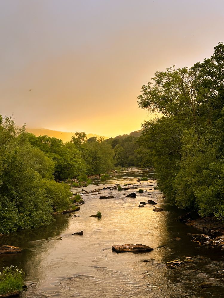 A shallow river captured at sunrise, it is lined by green trees and the river is peppered with rocks glistening as they catch the light.