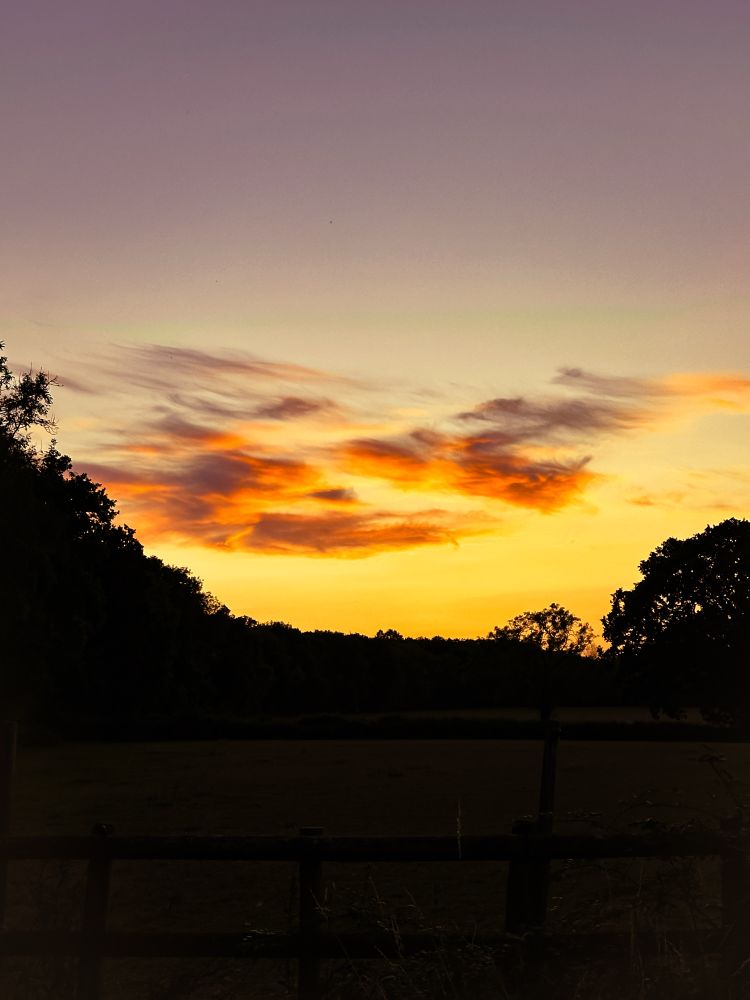 The capture shows an outline of trees in shadow, the sky orange with low clouds reflecting the glow of the sun, above the cloud line the sky graduates to a pink hue.