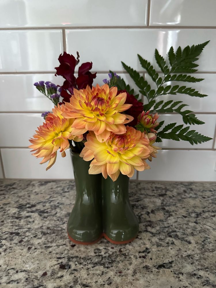 A vase shaped like rain boots with yellow-orange and maroon dahlias and a fern.