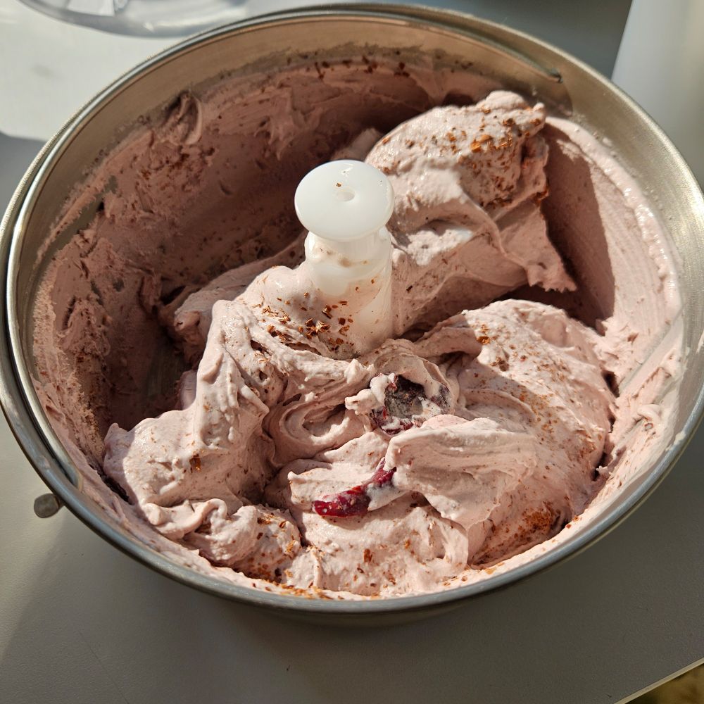 Cherry ice cream that has just been churned. You can see chocolate shavings and some halved cherries in there.