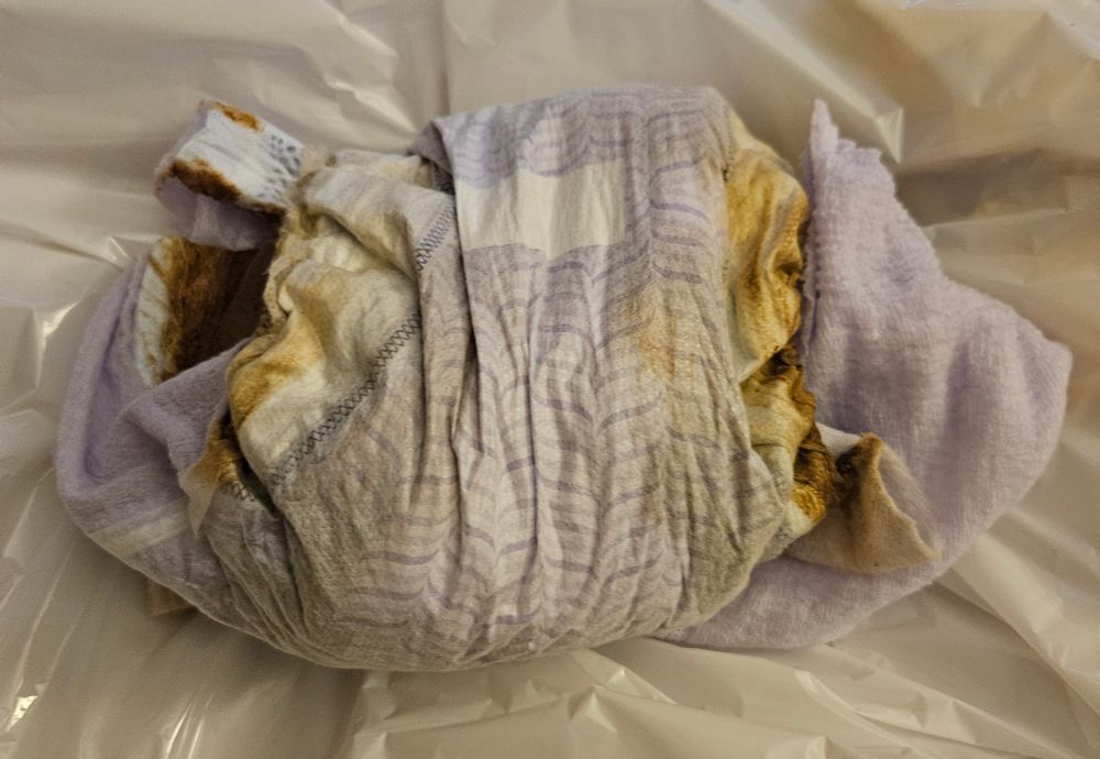 The back of my full purple XXL goodnites laid out on a plastic bag. The leakguards are entirely brown, these pull-ups have been destroyed
