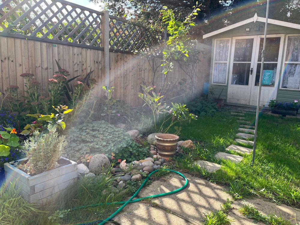 A small back garden with green grass, plants, a fence, a summerhouse and some young fruit trees. It’s very sunny. 