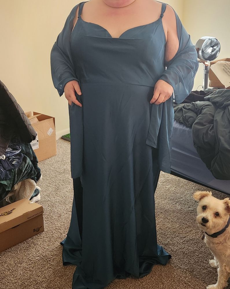 Chubby girl in an overlong blue/green dress.  A small blonde dog sits by her feet.