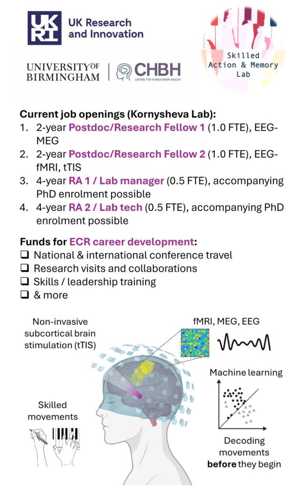 Katja Kornysheva on LinkedIn: #ukriflf #neurojobs #neuroscience #neuroimaging #bci #meg #eeg #fmri…