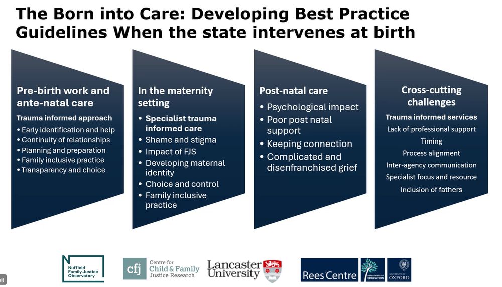 A diagram sharing key areas and focus: pre-birth work and ante-natal care; in the maternity setting; porst-natal care and cross-cutting challenges