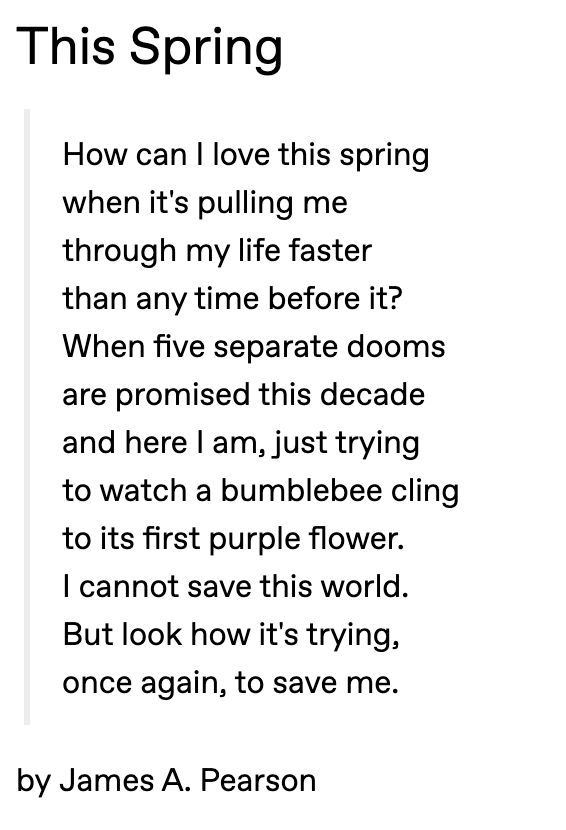 This Spring

    How can I love this spring 
    when it's pulling me 
    through my life faster 
    than any time before it? 
    When five separate dooms 
    are promised this decade 
    and here I am, just trying 
    to watch a bumblebee cling 
    to its first purple flower. 
    I cannot save this world. 
    But look how it's trying, 
    once again, to save me.

by James A. Pearson
