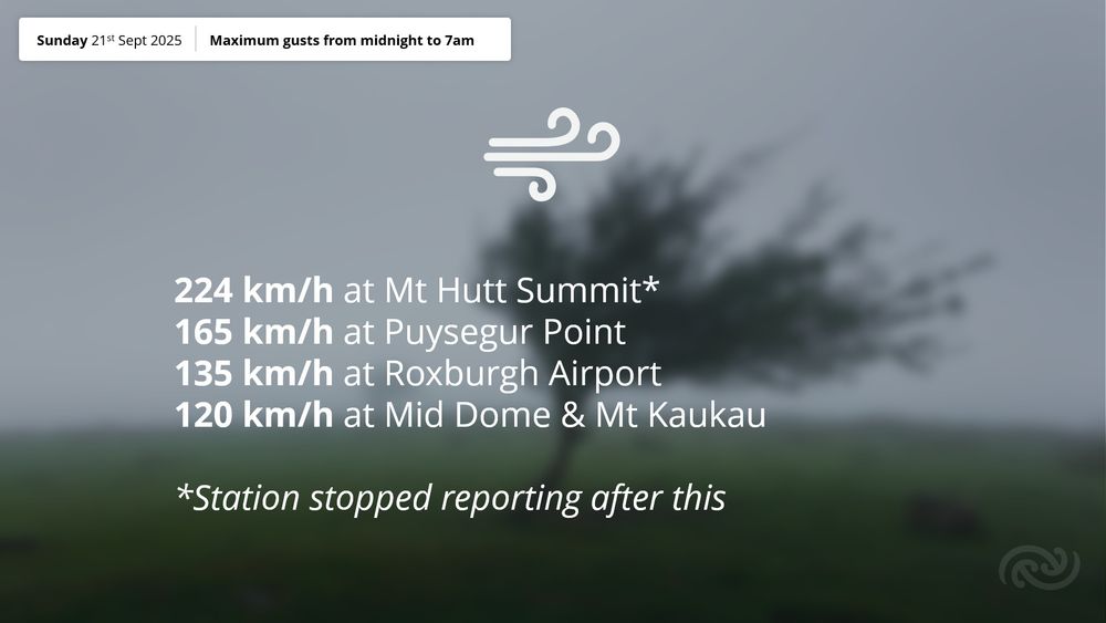 Sunday21Sept2025

Maximum gusts from midnightto7am

224km/h atMt Hutt Summit*
165 km/h at Puysegur Point
135 km/h at Roxburgh Airport
120 km/h atMid Dome Mt Kaukau
&

※Station stopped reporting after this


