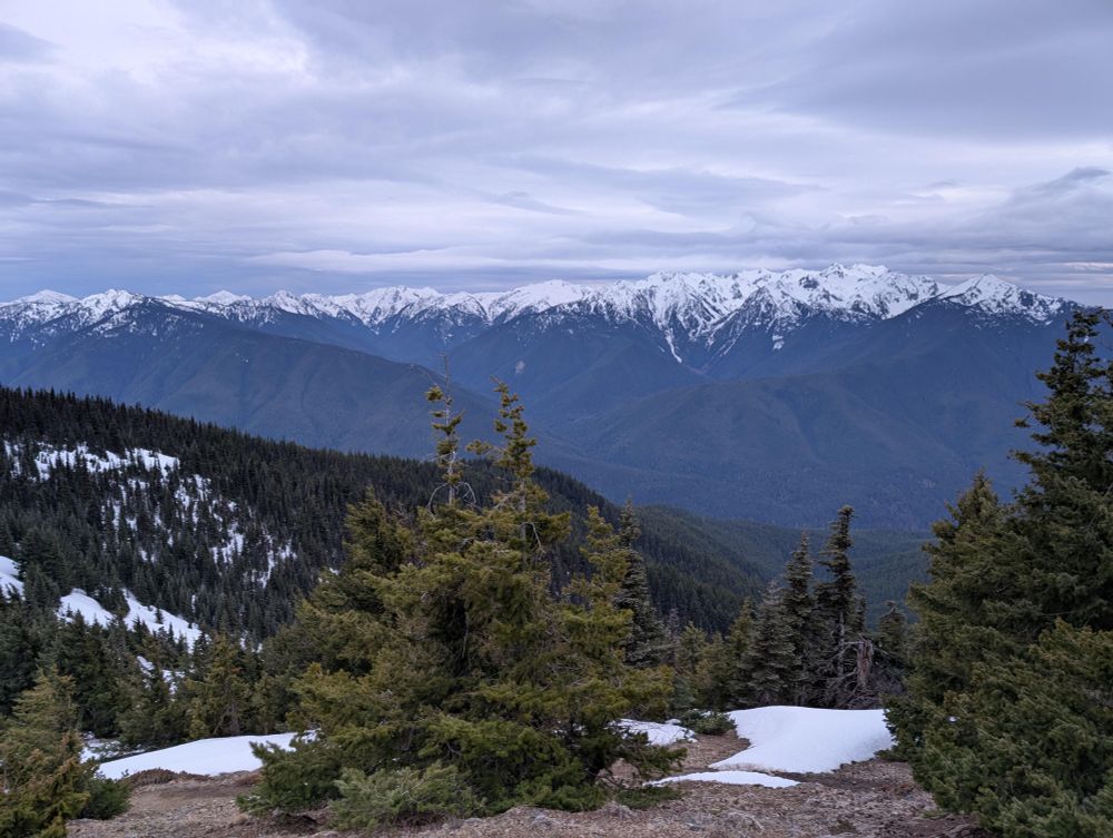 Photo from high elevation of snow-capped mountains encircling a remote evergreen rain forest valley. It is a south-facing landscape picture of Olympic National Forest with Mt. Olympus in view.