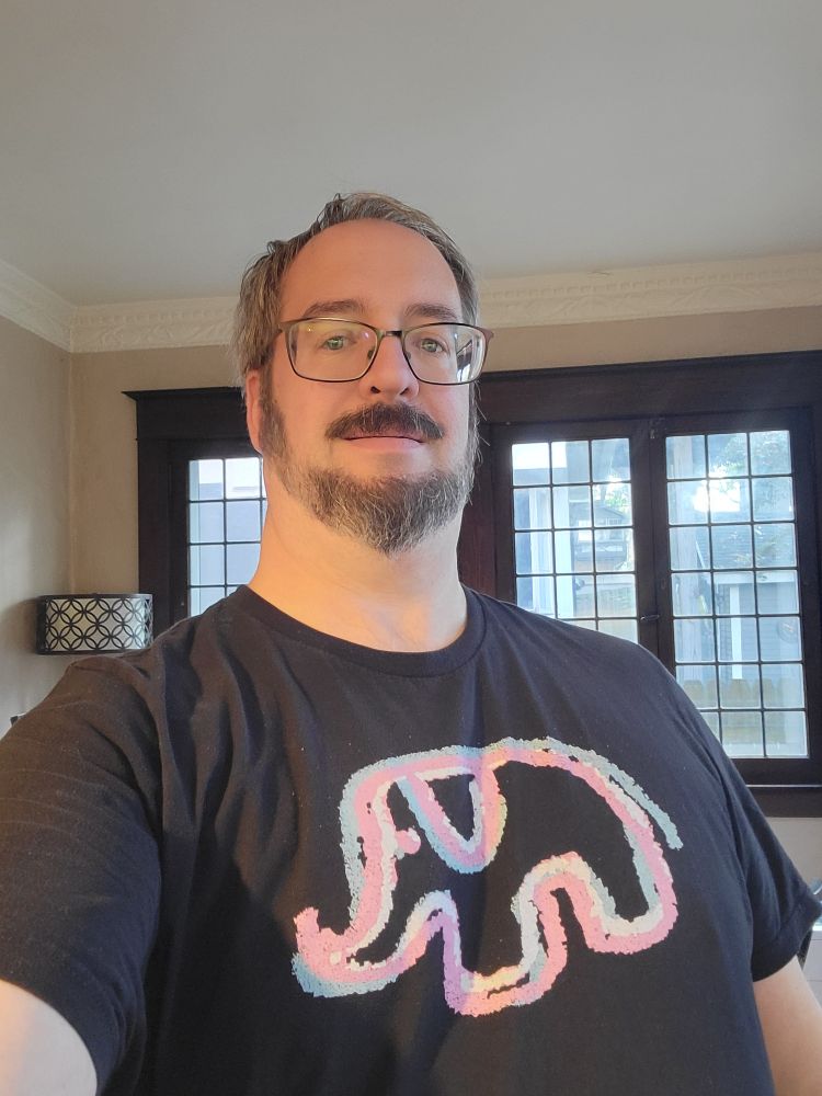 Me, a heavy set white dude with a beard, moustache, short receeding hair, and glasses, wearing a black tee shirt featuring mox's distinctive elephant in trans flag colors. I'm in a beige room and there are windows in the background framed in dark wood.