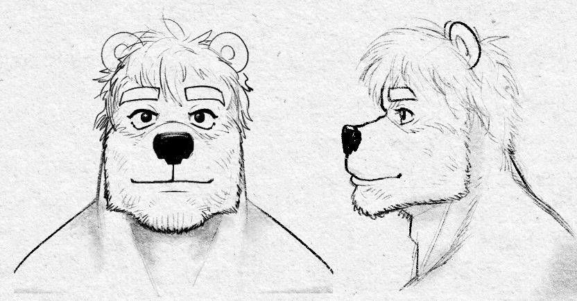 "Mugshot" of a scruffy bearded bear man with a strong jaw and shaggy hair.