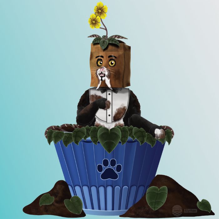 A tuxedo cat in a flower pot with a dirty paper bag and yellow African Violets on his head.