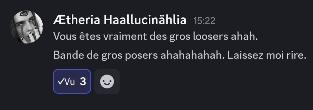 Capture d'écran Discord :
Le membre Ætheria Haallucinählia a dit "Vous êtes vraiment des gros loosers ahah. Bande de gros posers ahahahahah. Laissez moi rire."