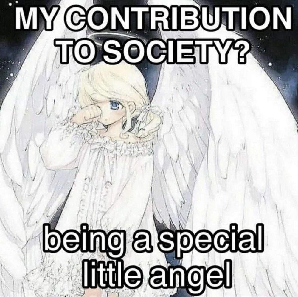 picture of an angel drawn in an anime artstyle with the following text: my contribution to society? being a special little angel