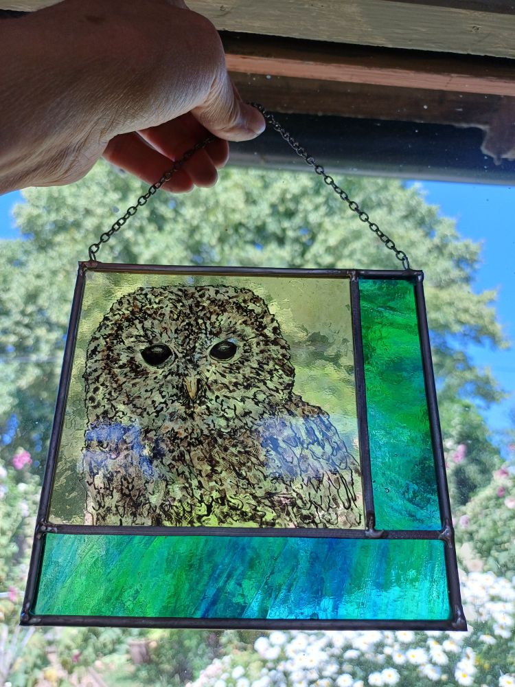 Tawny owl handpainted on glass with blue/green border. Held up against a window in my studiowith trees and flowers behind. 