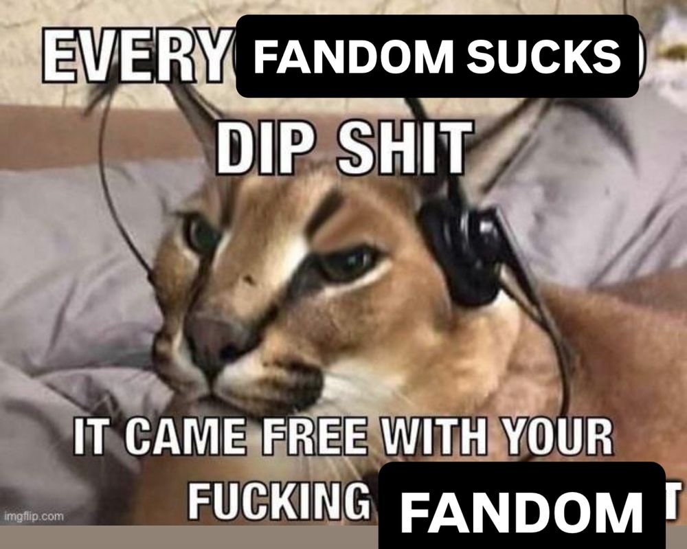 meme of a cougar wearing a headset with the text “every fandom sucks dip shit it came free with your fucking fandom”