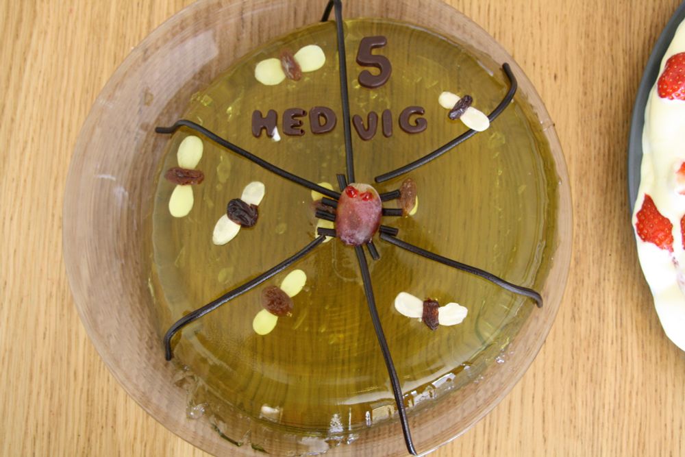 Halloween-gelekake med edderkopp av drue